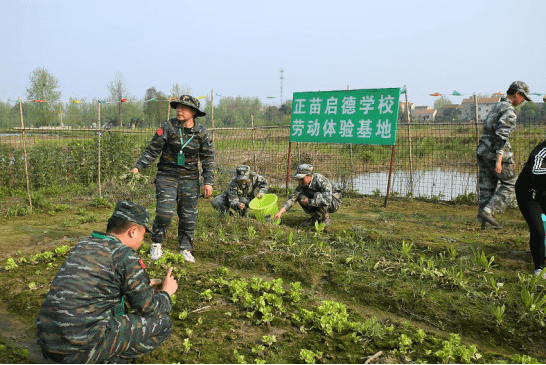 问题青少年特训学校,叛逆少年教育学校